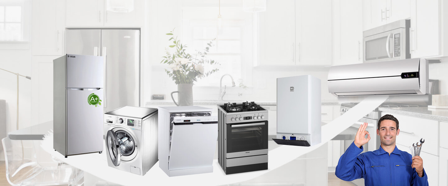 Çamlık Warmhaus Servisi